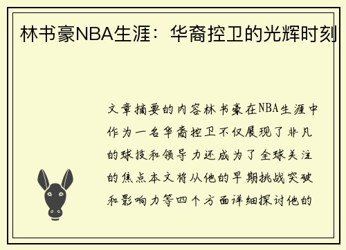 林书豪NBA生涯：华裔控卫的光辉时刻